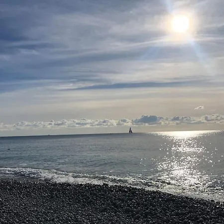 Charming City Center Studio 406 公寓 尼斯